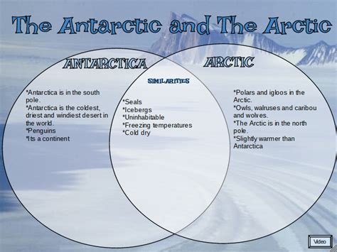similarities between arctic and antarctic.